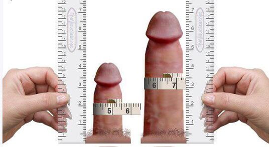 measuring the penis for and after enlargement at home