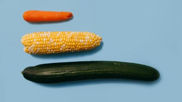 Different sizes of the male member on the example of vegetables