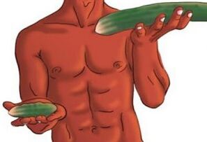 the result of penis enlargement on the example of cucumbers